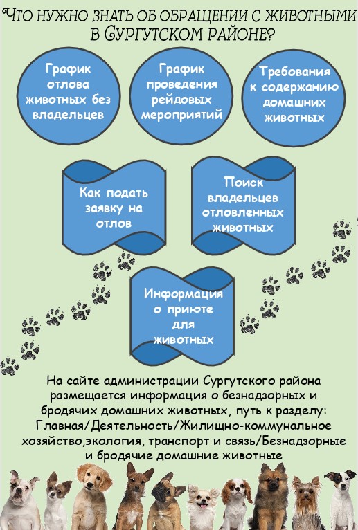 памятка об обращении с животными