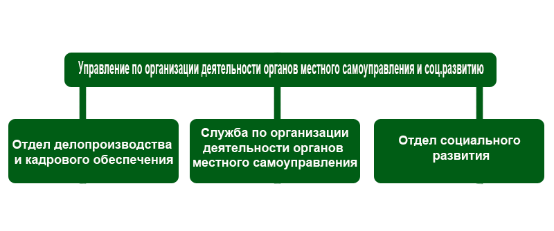 Структура управления Структура управления